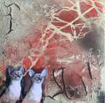 Cats1